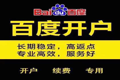 百度竞价公司案例分析：优化策略全解析